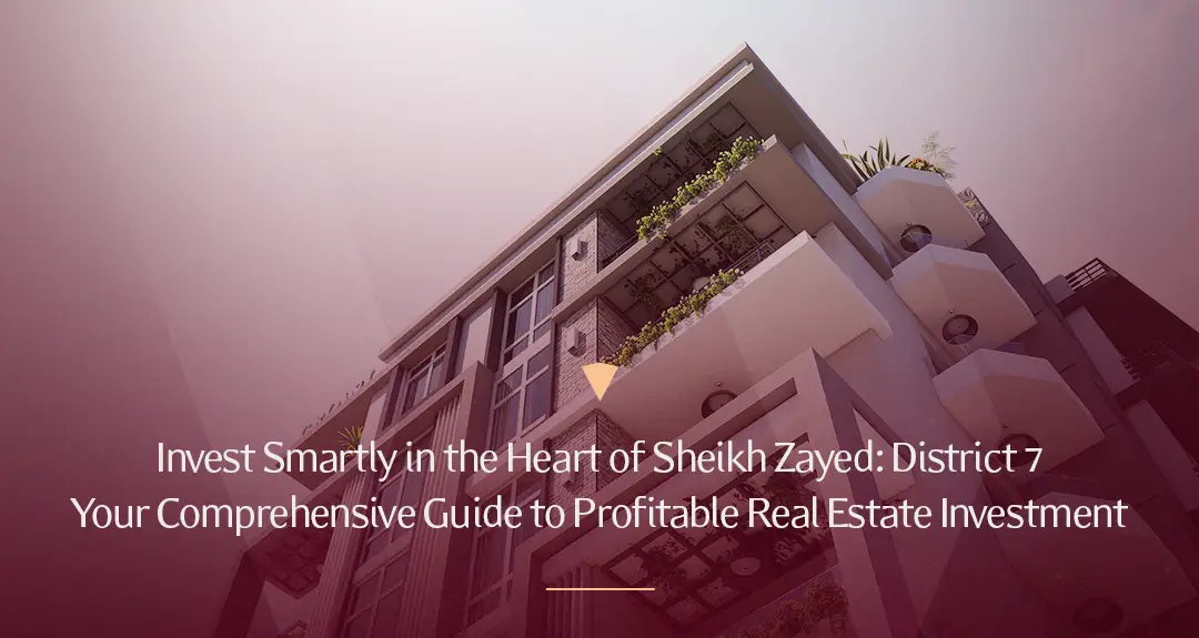 The Most Important Information About Sheikh Zayed Seventh District