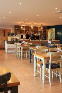 Cafe area